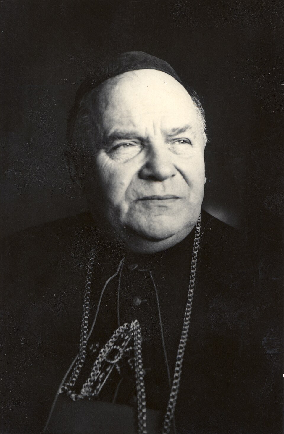 Portrait of Blessed Basil Hopko