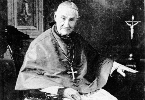 Portrait of Giovanni Antonio Farina